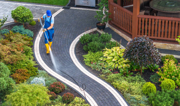Best Pressure Washing Near Me  in Hartsville, SC